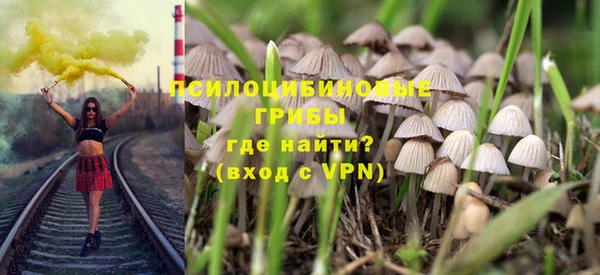 PSILOCYBIN Приозерск
